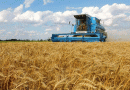 NASA research shows Russia harvesting $1 Billion worth of wheat in Occupied Ukraine