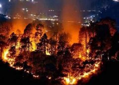 Nainital Forest Fire Crosses 36-Hour Mark; CM Seeks Help From IAF, Army