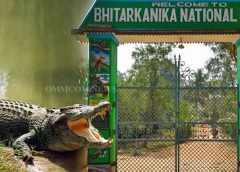 Odisha’s Conservation Initiative: Implements Temporary Ban on Visitors to Safeguard Bhitarkanika National Park’s Crocodile Mating Season